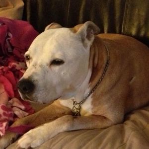 Meet your Posher, Jill